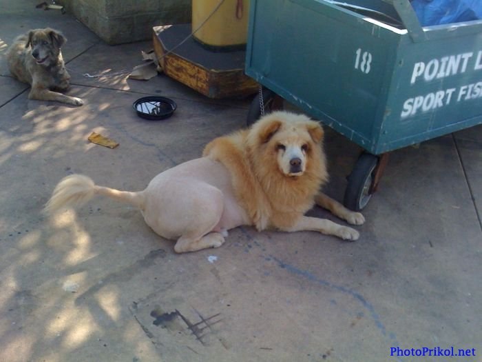 Сергей Хурматулин | Екатеринбург