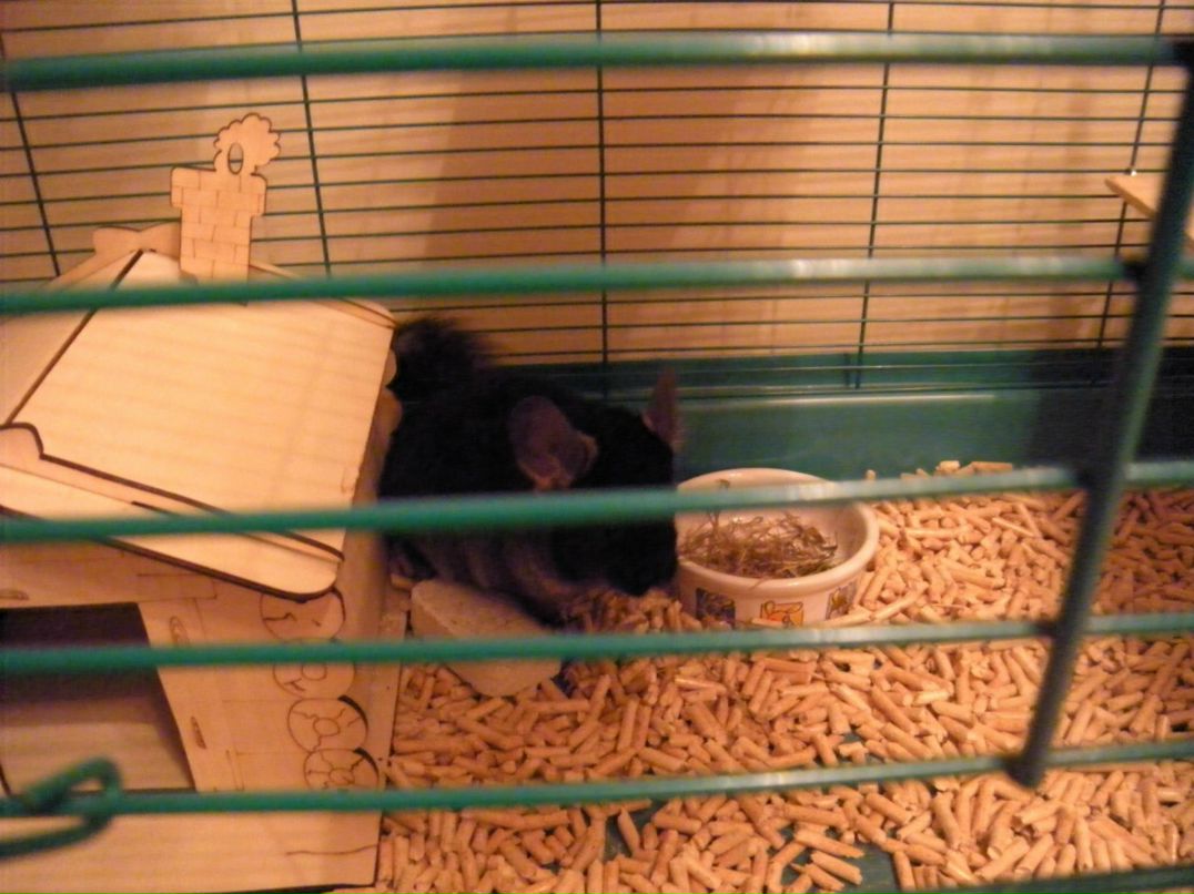 Борис Скорина LuCiFeR | Санкт-Петербург