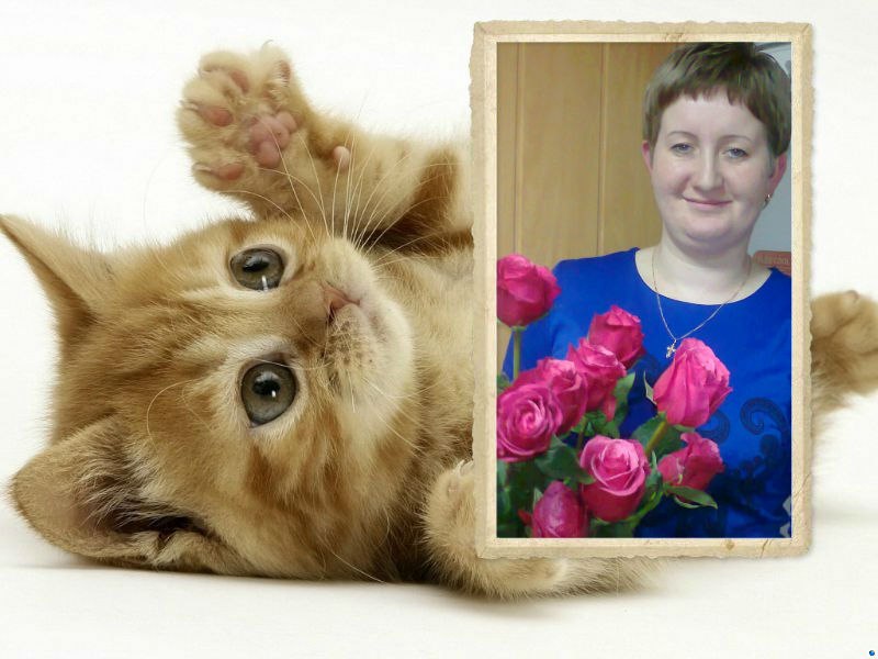 Елена Некритова | Нестеров