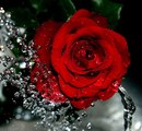 Фотография Ефимовой Амины