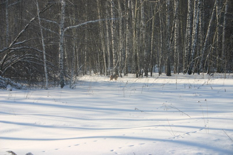 Лёня Ххх | Новосибирск