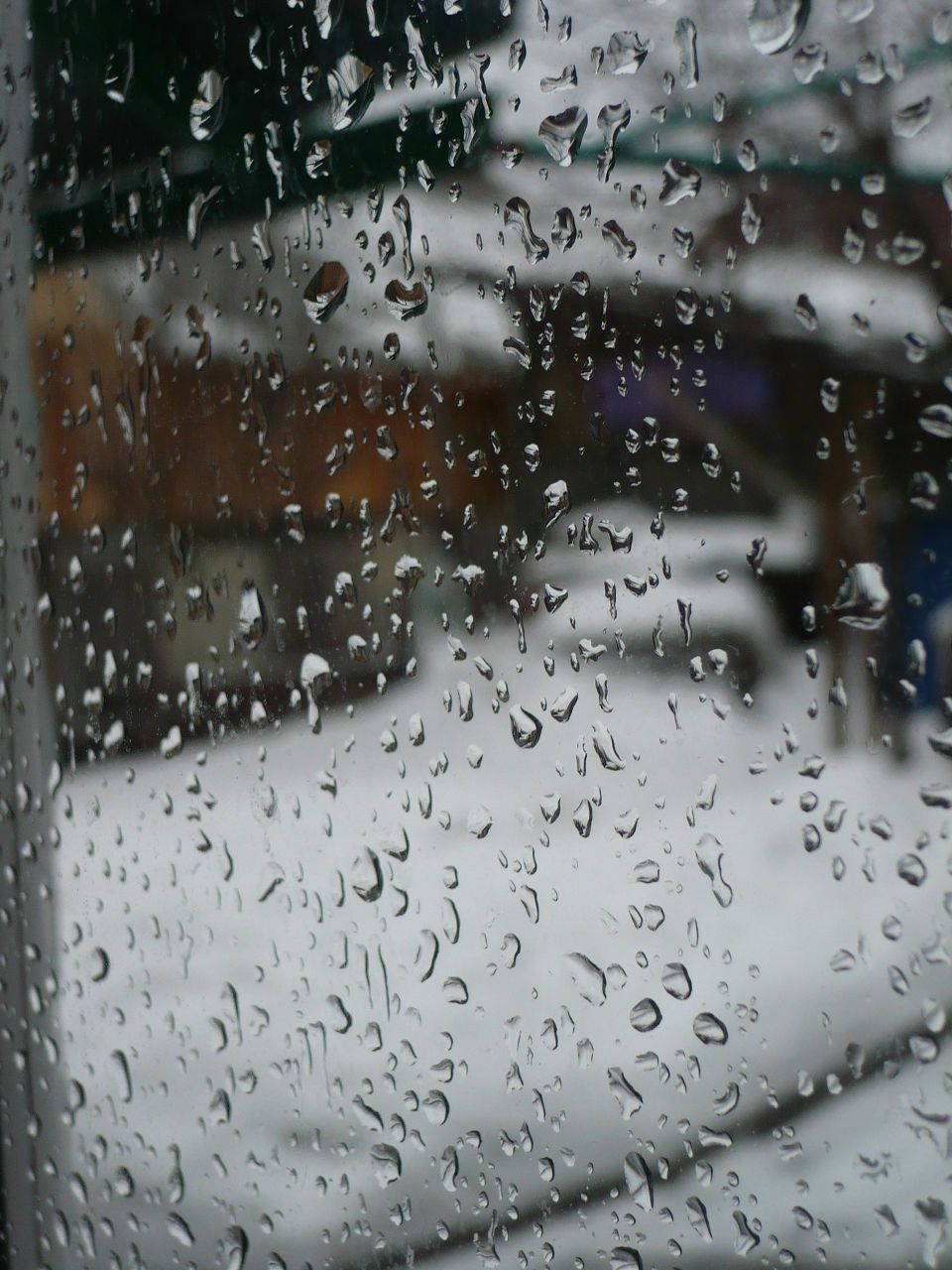 Елена Пхида | Ростов-на-Дону