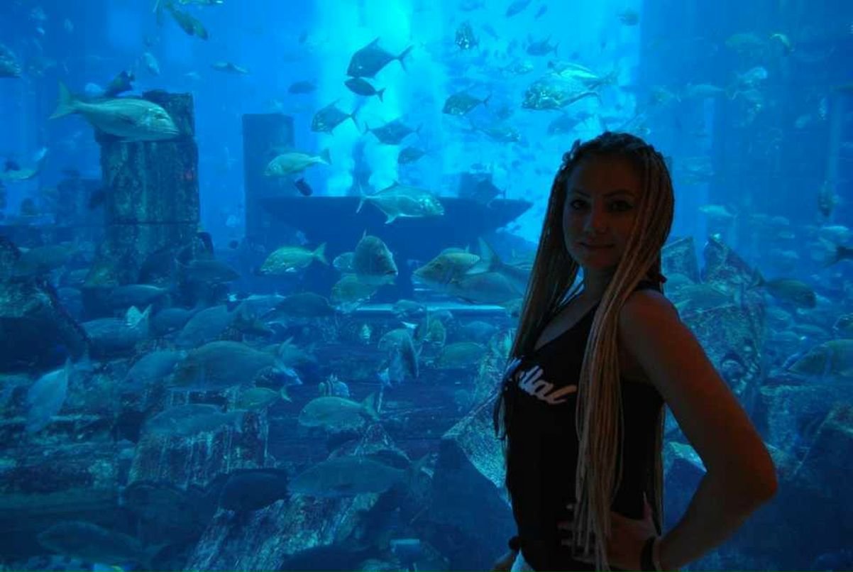 Эл Элкина | Ajman