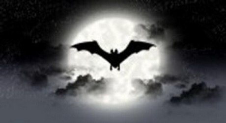 Константин Шулятьев | Санкт-Петербург