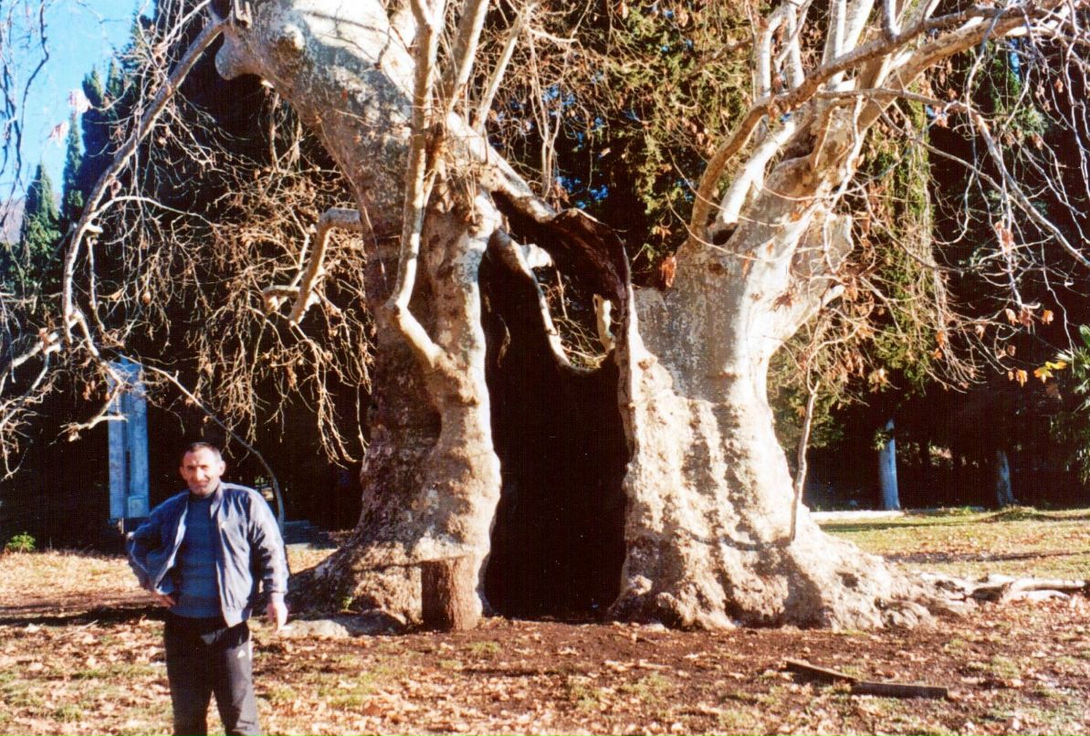 Ольга Старшинова - ostar - | Москва