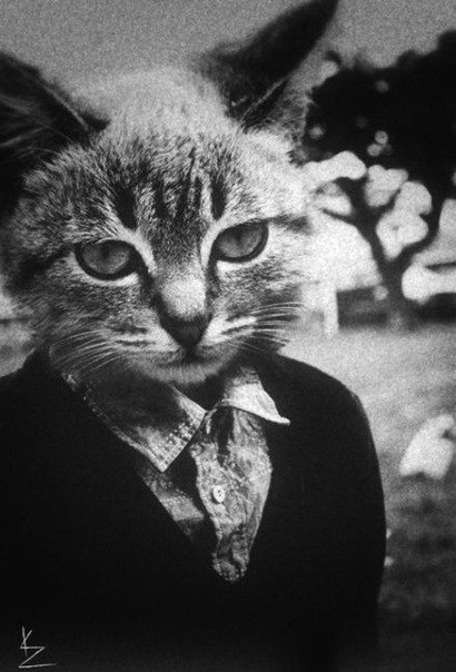 Максим Котов ★☆ΜΛΞΙΜΟΣ///☆★ | Москва