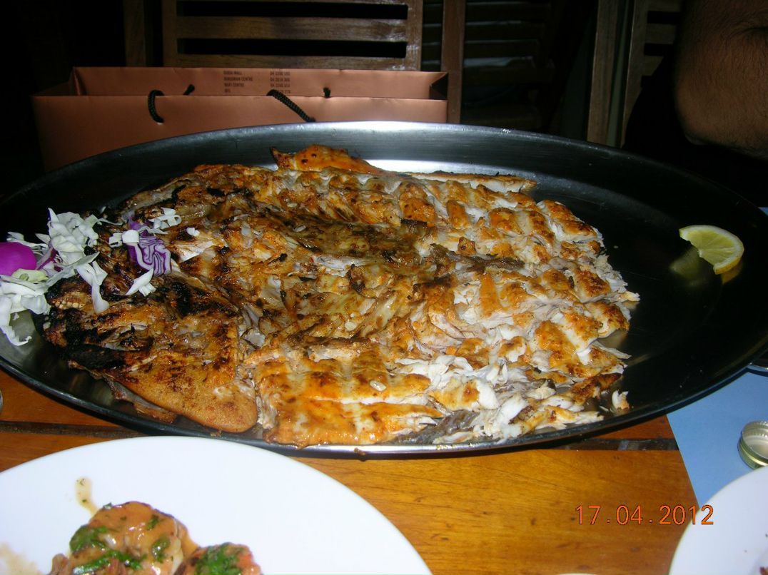 Александр Лютович | Николаев