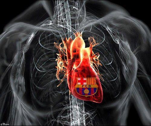 Александр Явтушенко | Киев