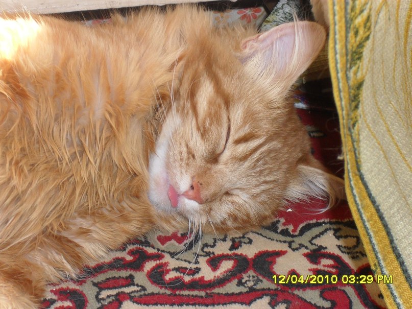 Михаил Кривенцев | Москва