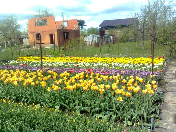 №85, Николай Холмовой, Краснодар, Россия №85, Николай Холмовой, Краснодар, Россия