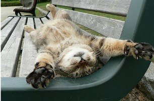 Дима Шаповалов | Санкт-Петербург