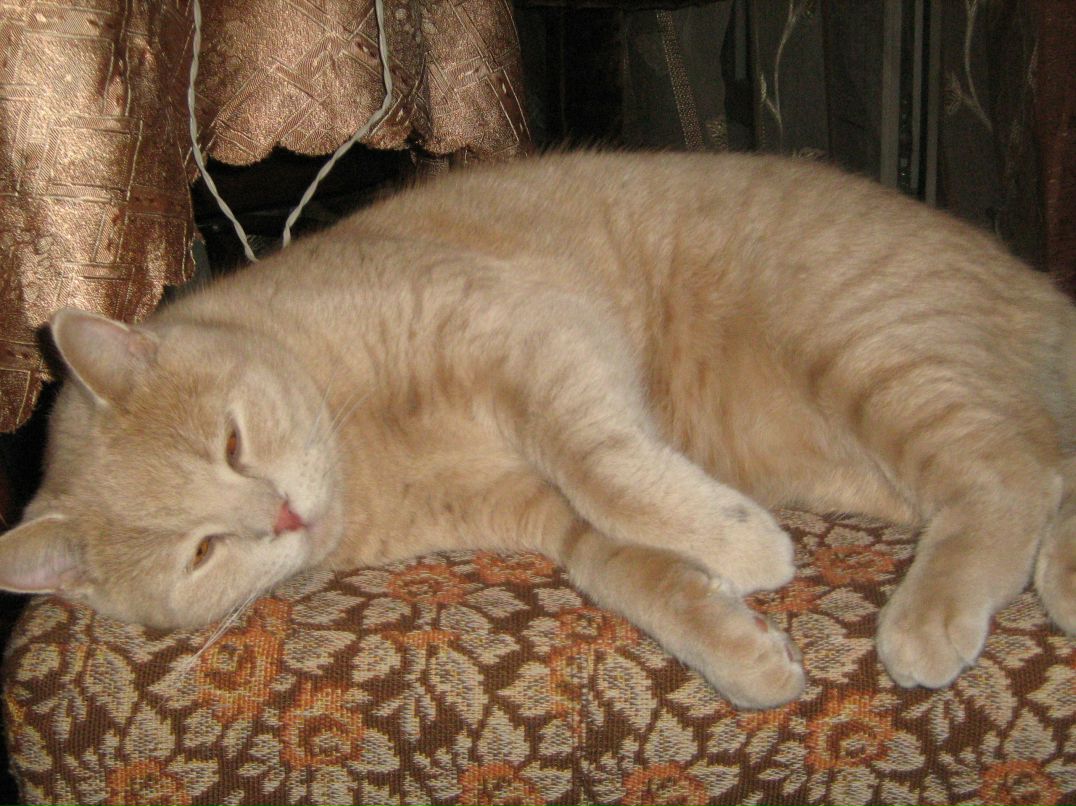 Майя Кондаурова | Санкт-Петербург