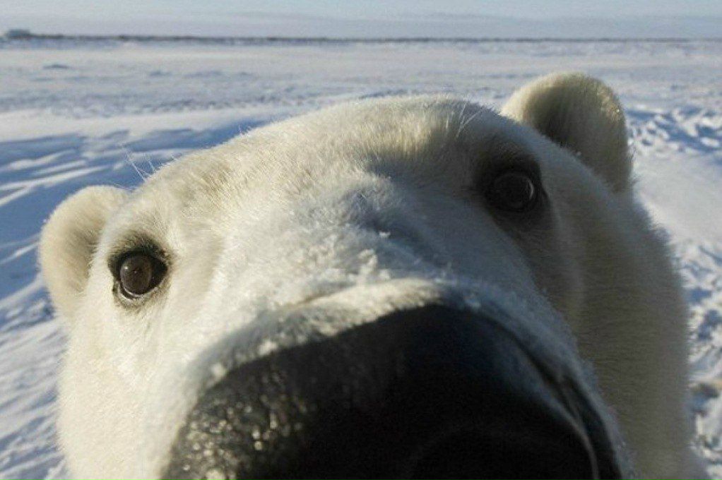 Антон Иванов | Красноярск