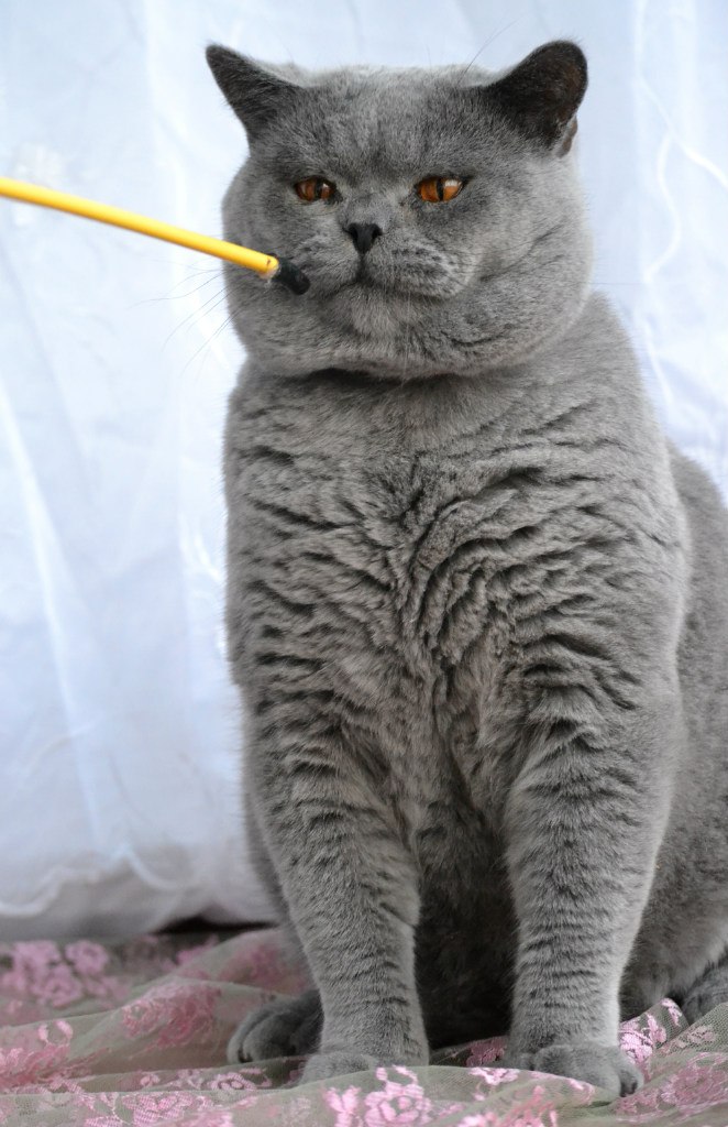 Анна Кузнецова | Севастополь