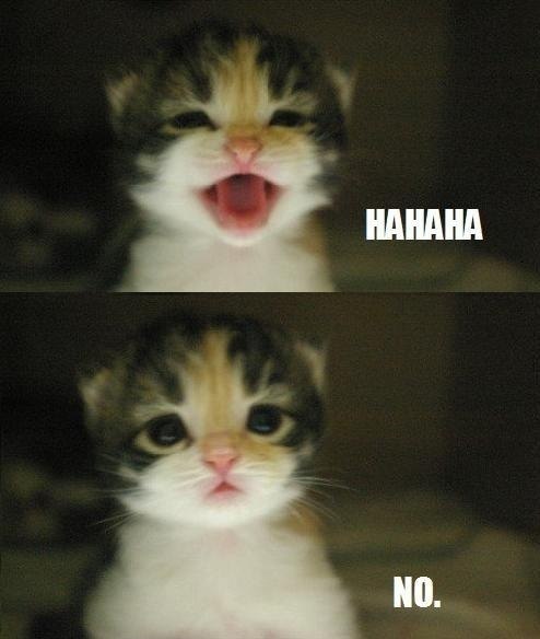 Алла Соколова | Кропивницкий / Кировоград