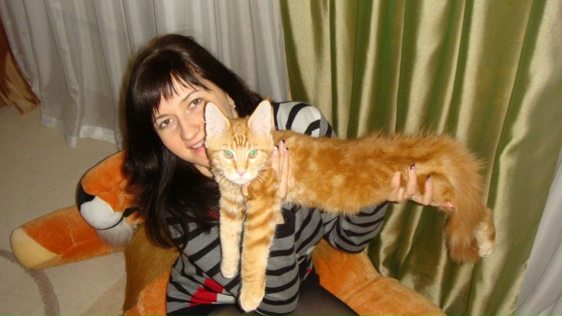 Елена Огнерубова | Воронеж