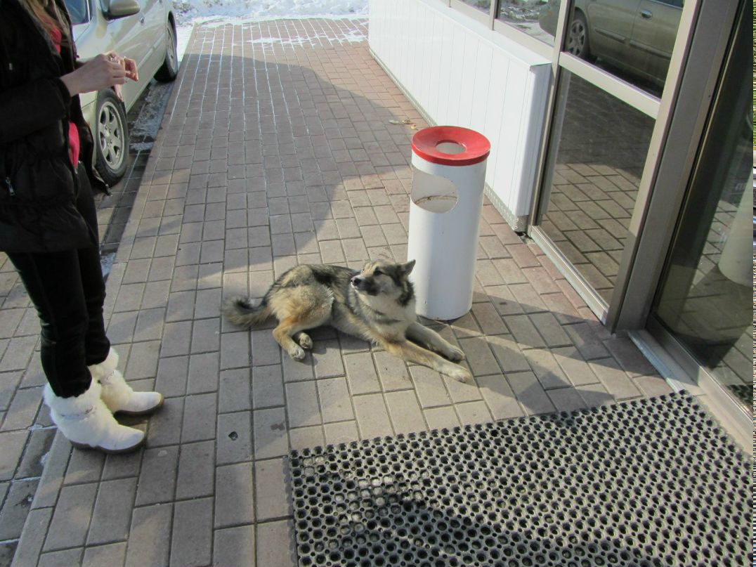 Мария Глэм М@riz | Москва