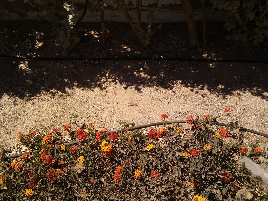 Ириша Петрова | Киев