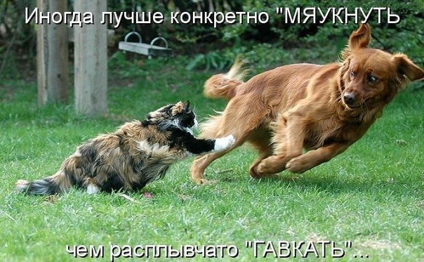 Наталья Кравчук | Санкт-Петербург