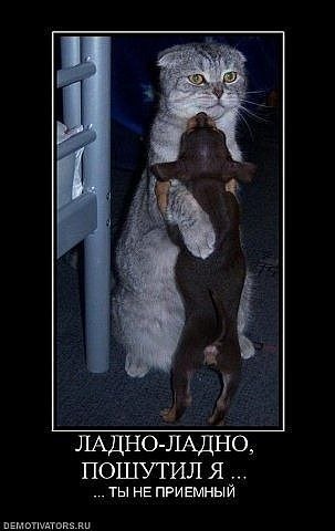 №79, Станислав Молчанов, 43 года, Новосибирск №79, Станислав Молчанов, 43 года, Новосибирск