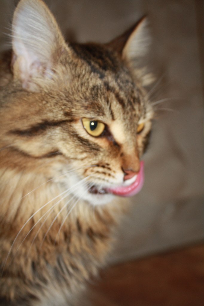 Анна Закирова | Казань