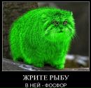 Фотография Саша Захарова