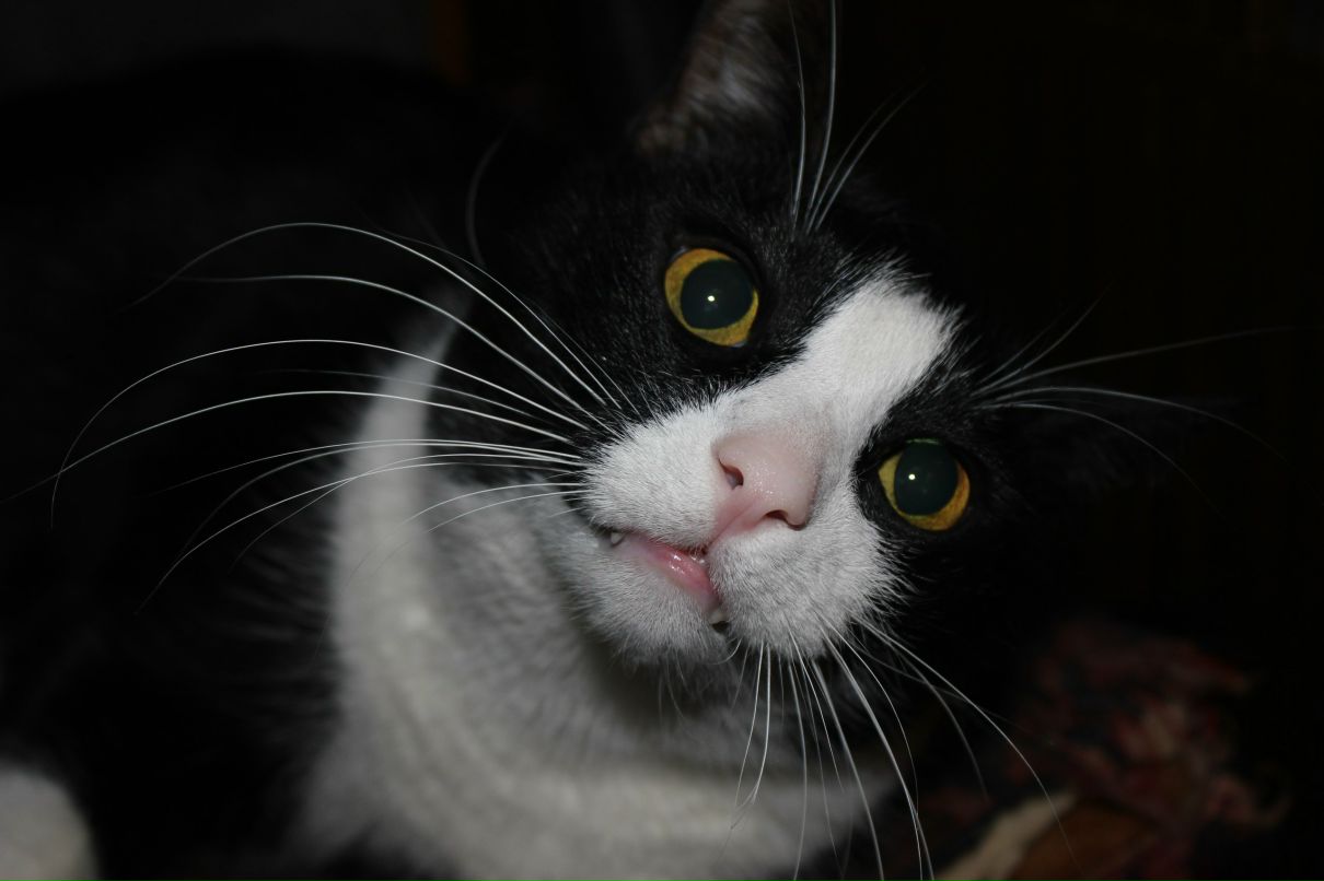 Саша Игнатенко | Москва