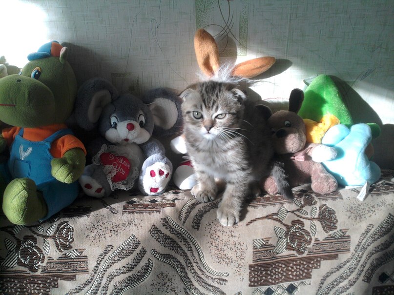 Сергей Шилин | 