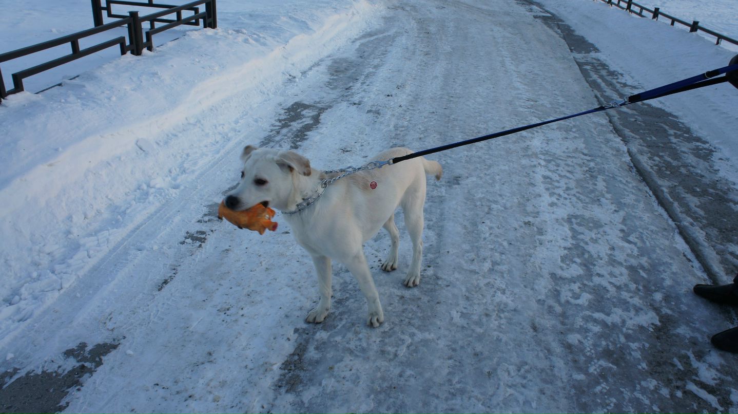 Сергун Красин | Москва