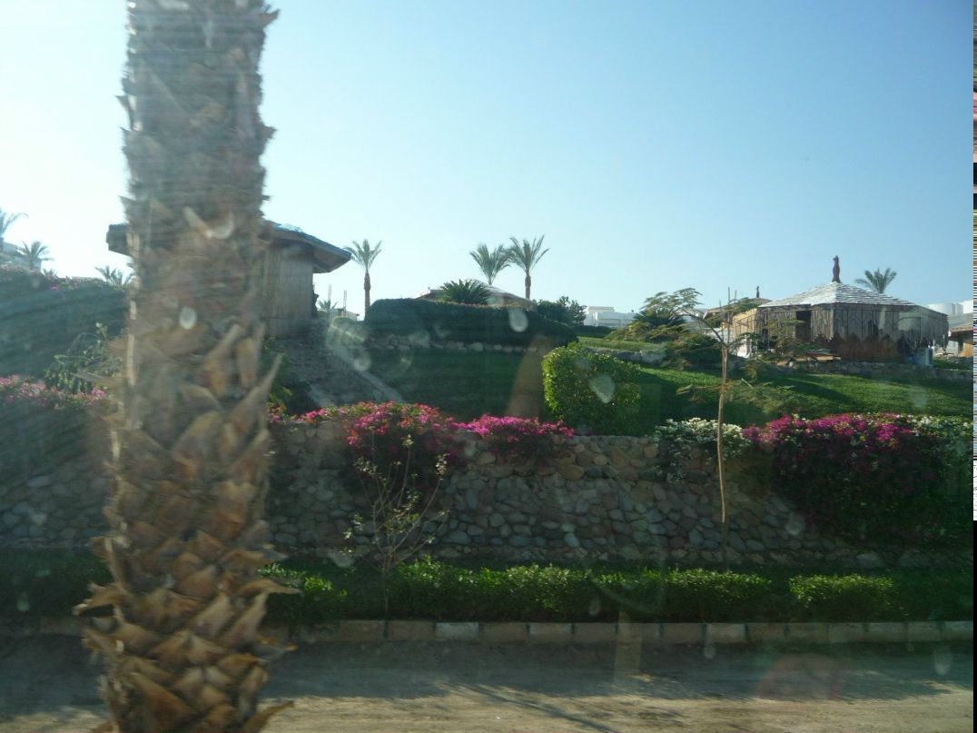 Дмитрий Волков | Владимир