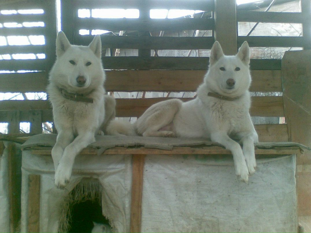 Юрий Придачин | Белгород