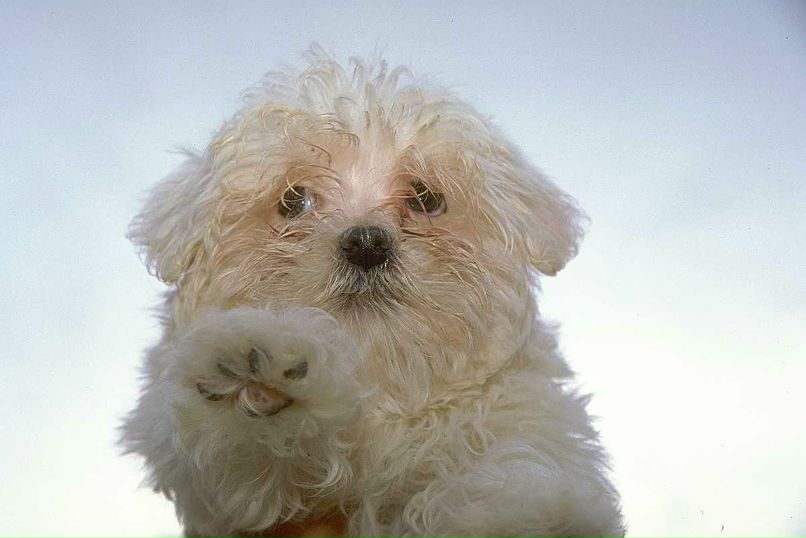 Маша Маркова | Кирово-Чепецк