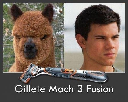 Максим Демидов | Луганск