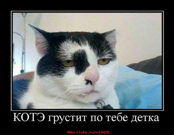 №137, Артем Конев, 37 лет, Норильск №137, Артем Конев, 37 лет, Норильск