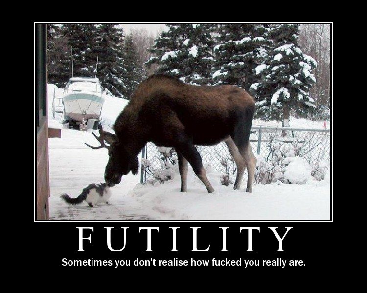 Ренат Мингазов Riki-Tiki | Москва