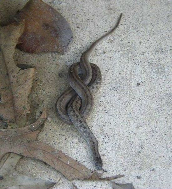 №108, Anastasia Deykka, 39 лет, Lima, Перу №108, Anastasia Deykka, 39 лет, Lima, Перу