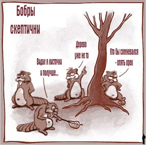 №1, Сергей Соловьев, 44 года, Кишинев №1, Сергей Соловьев, 44 года, Кишинев
