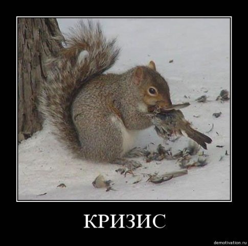 №9, Макс Борисов, Ростов-на-Дону №9, Макс Борисов, Ростов-на-Дону