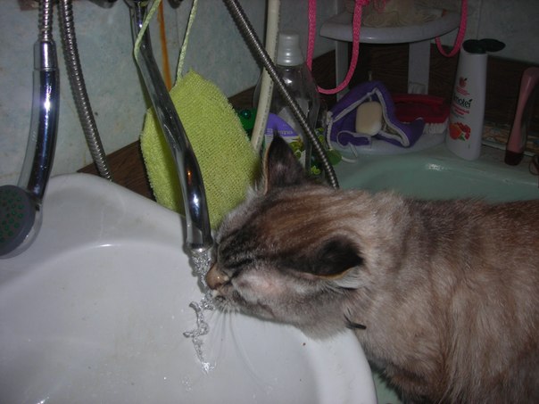 №10, Надежда Григорьева, 14.06.1954, Всеволожск №10, Надежда Григорьева, 14.06.1954, Всеволожск