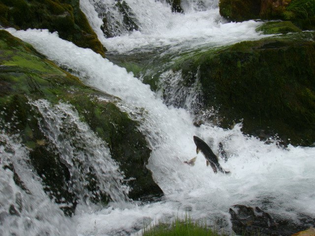Анна Батаева | Санкт-Петербург