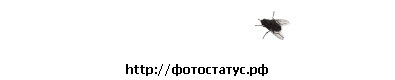 №78, Александр Крушинов №78, Александр Крушинов