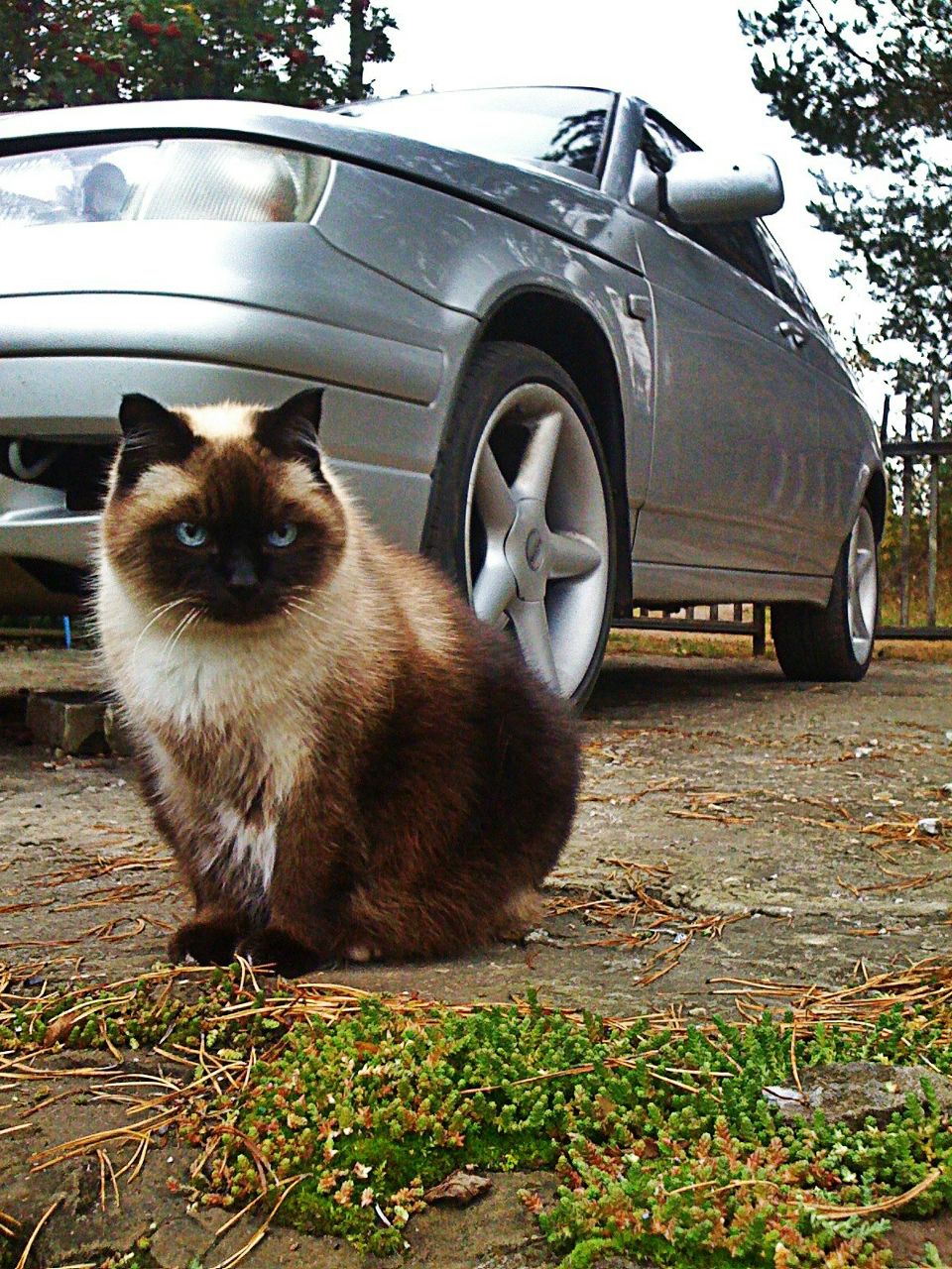 Дмитрий Маритчак | Сыктывкар