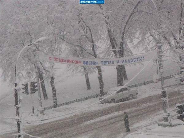 Саша Шишолик | Луцк