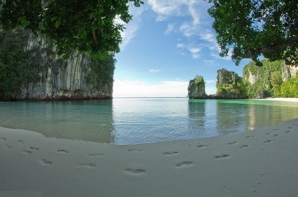 Вадим Арнатович ватихь | Минск