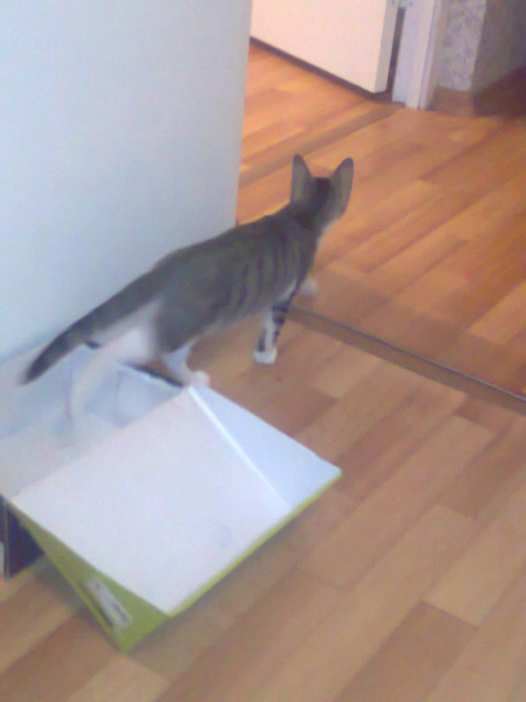 Юлия Кулешова | Санкт-Петербург