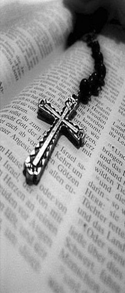 Макс Ефименко | 