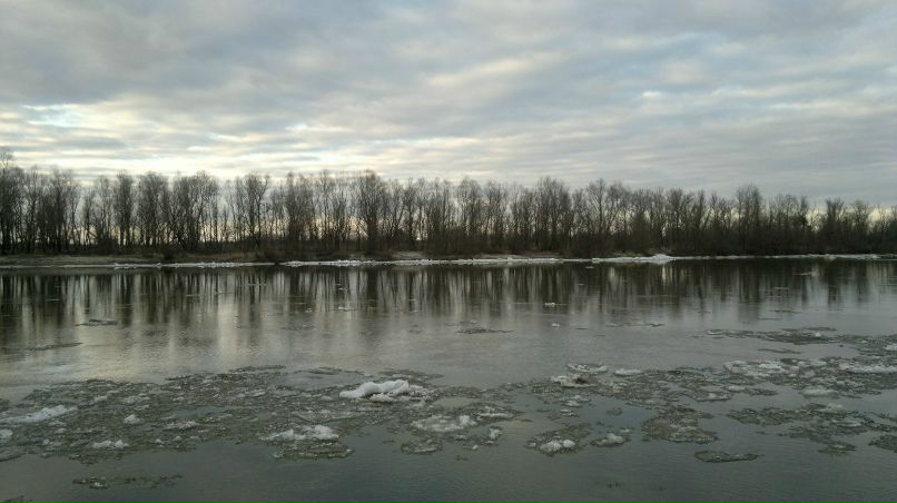 Андрей Поролло | Бровары