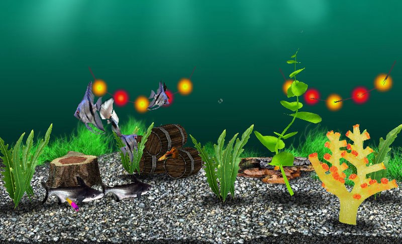 Семен Тарасов | Екатеринбург