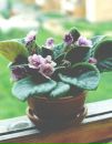 №36 Миляуша Сафиуллина : профиль, фото, статус - ВКонтакте