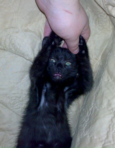 №8, Дарина Превед, 105 лет, Якутск, Россия №8, Дарина Превед, 105 лет, Якутск, Россия